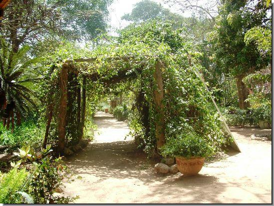 Bakau Botanical Gardens Photos | Gambia