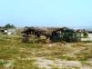 Open hut on sand dunes